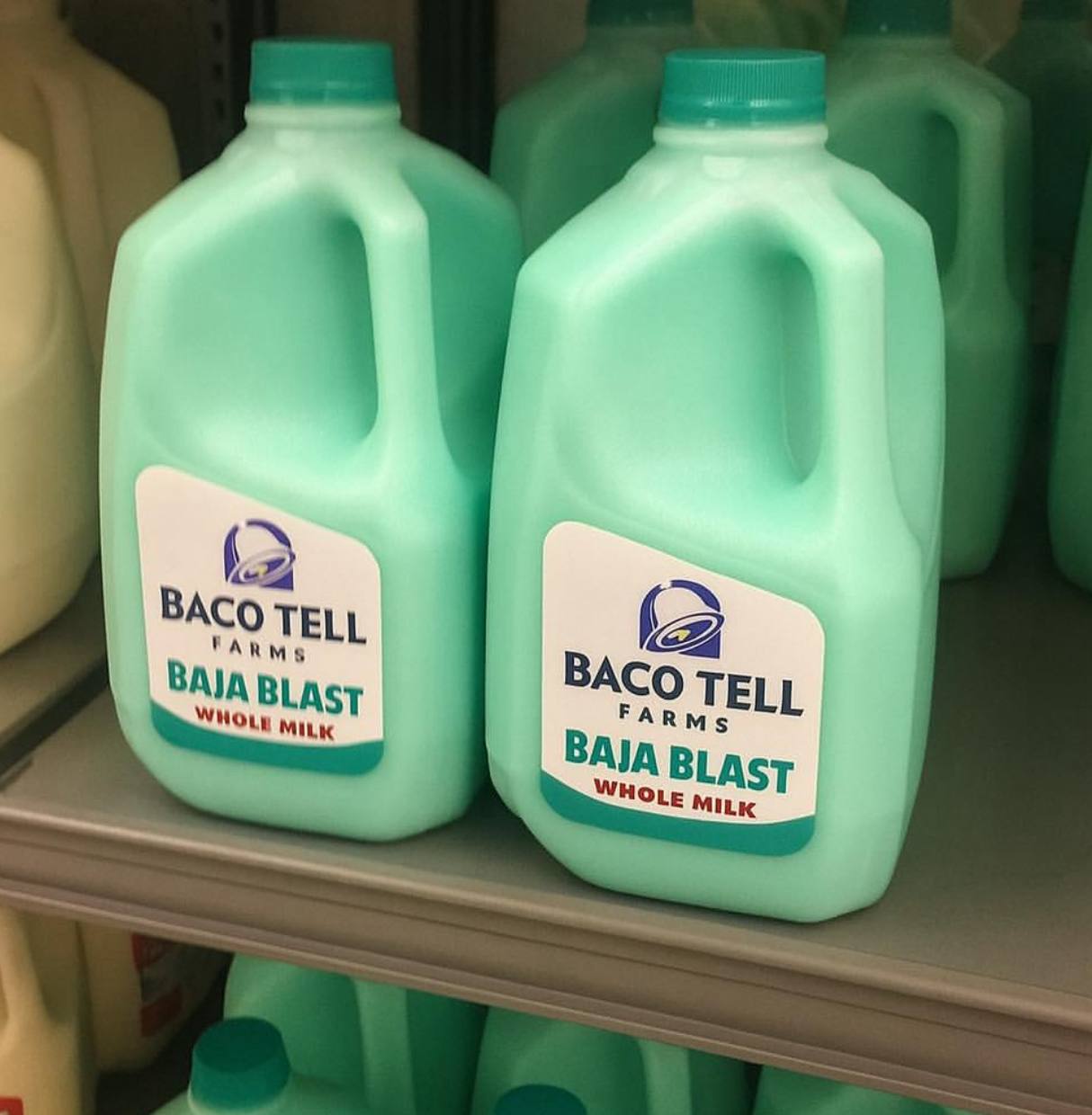 Baco Blast Whole Milk